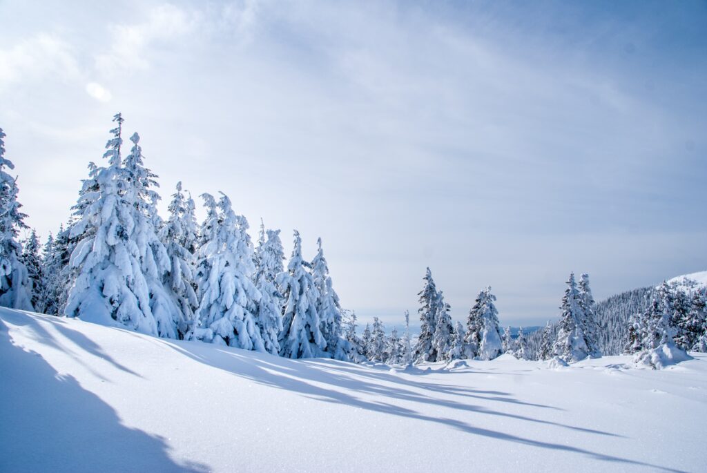 Landschap van sneeuw en bergen in Albanië in de winter