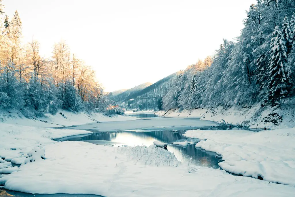 Een rivier omringd door besneeuwde bomen in een bos in Kroatië in de winter