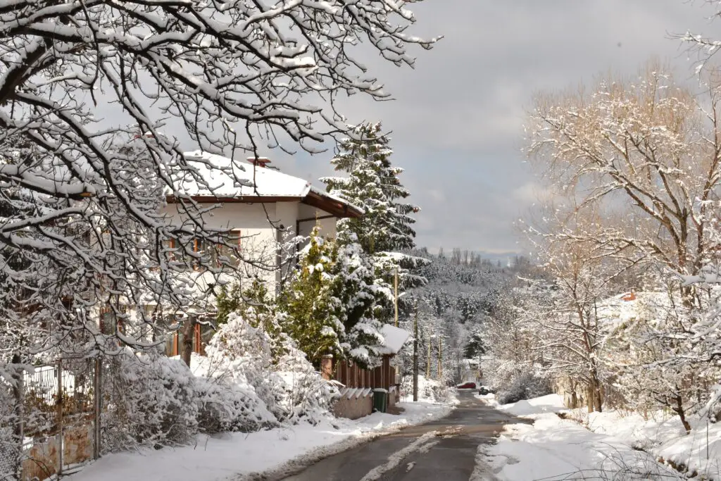Besneeuwde bomen en huizen in Bulgarije in de winter