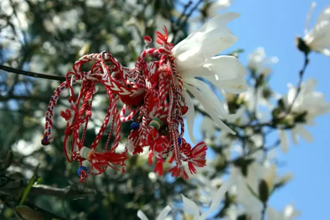 Verore armband geknoopt aan boom tijdens Dita a Verës in Albanië