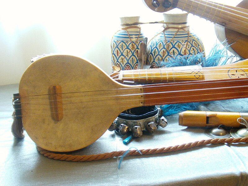 Macedonisch muziekinstrument Tambura