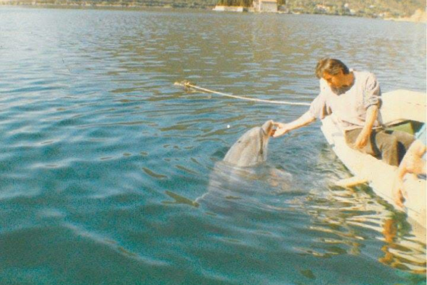 Man met dolfijn in Baai van Kotor in Montenegro