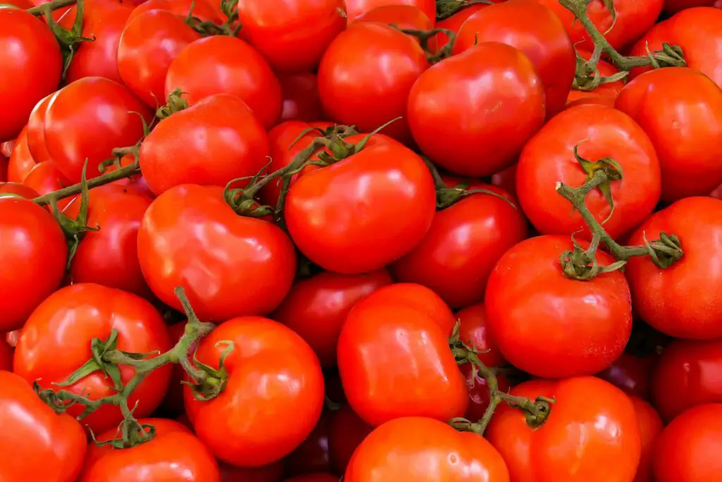 Tomaten tijdens Tomato Festival in Albanië